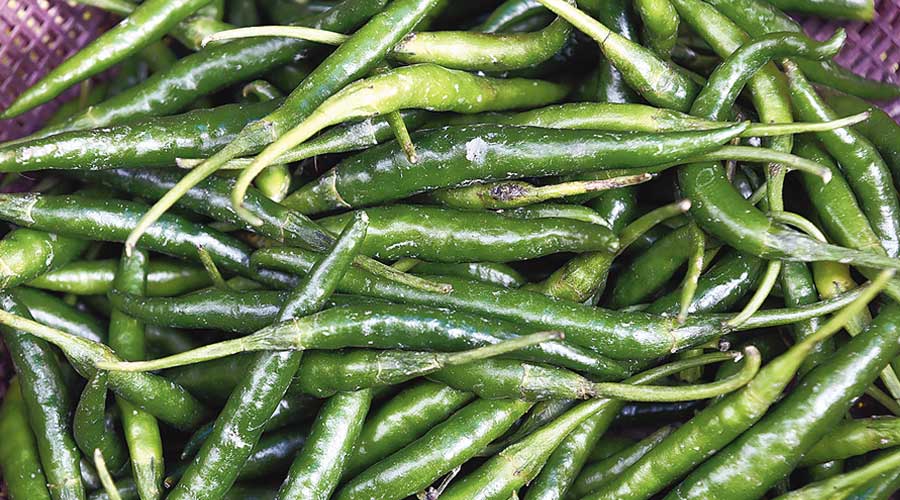 Green chillies being sold at a city market  on Friday. 