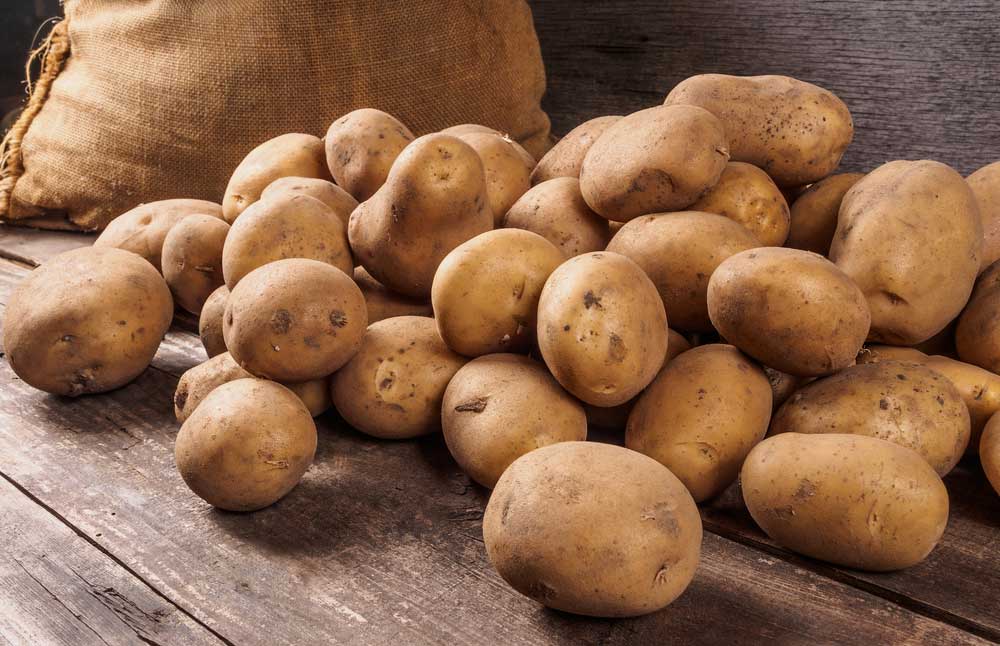 Potato Price High November Rain Set To Keep Potato Price High   1647203798 Potato 