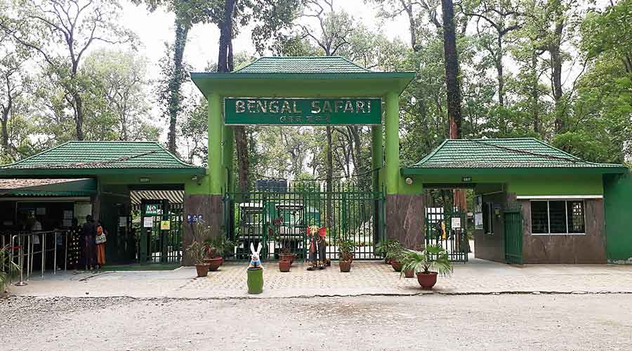 The Bengal Safari Park. 