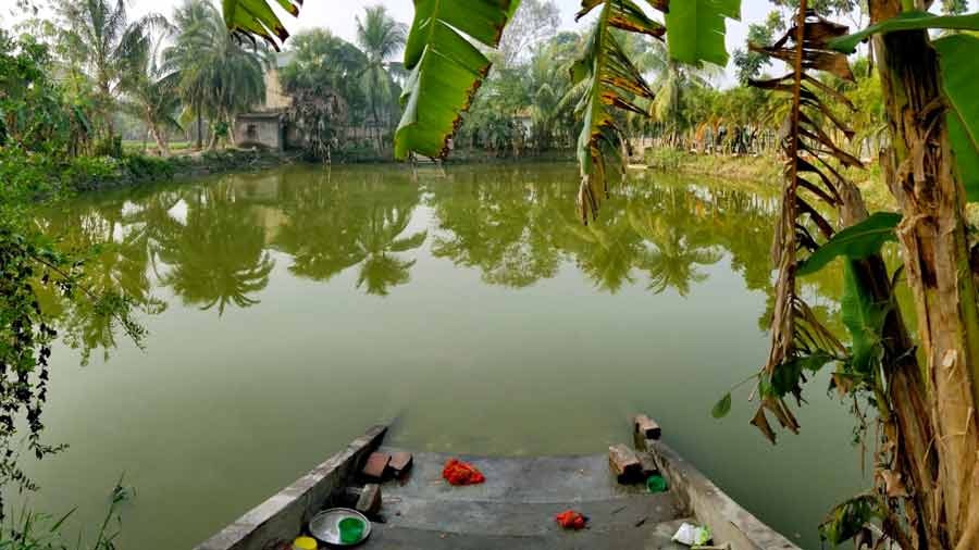 Representational image of a pond in Kolkata
