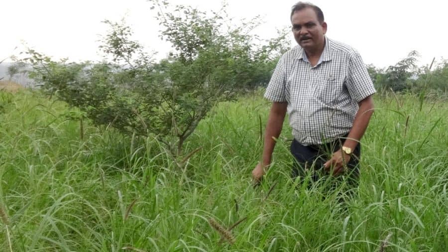 Professor SK Maiti during his research at a field in Jharia Coalfield in Dhanbad.