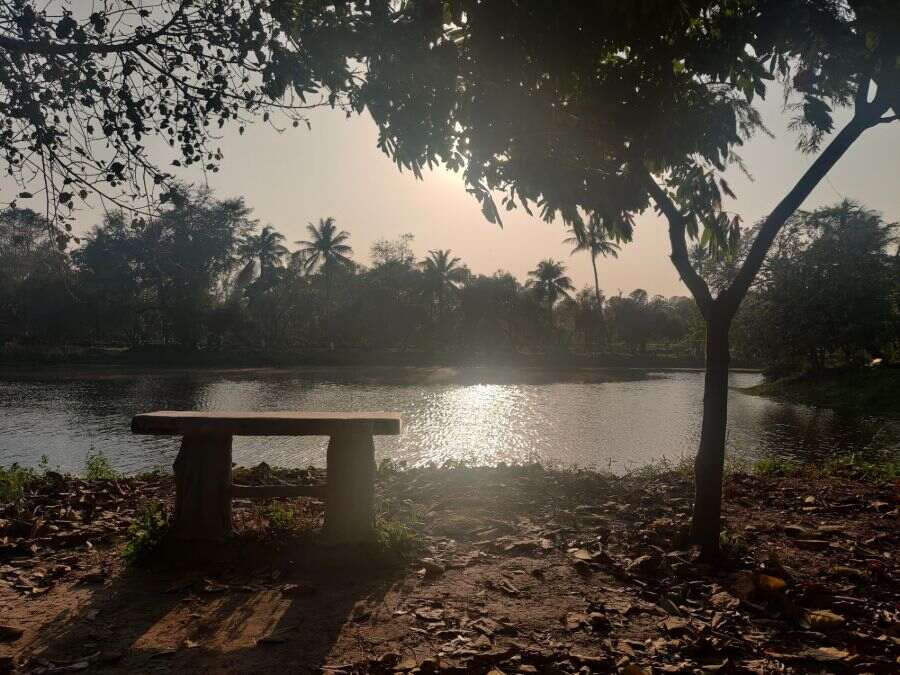 The banks of the water body are lined with benches that welcome exercisers in the morning and couples in the day. With a serene view and steady chirping of birds, these benches offer Zen-like calm.