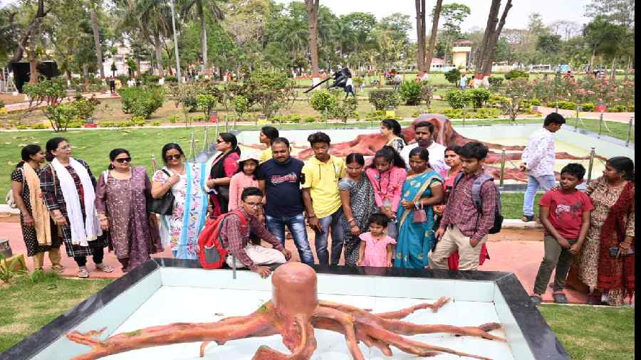 The garden inside Raj Bhawan.