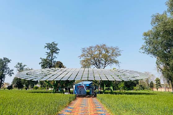 Solar trees have wide applications such as distributed power generation to cater to the needs of different integrated farming activities.  