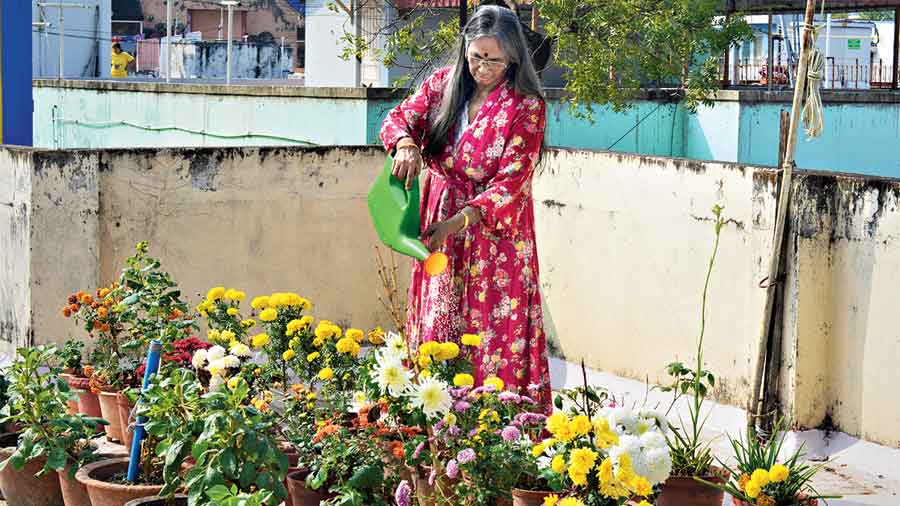 Kalyani Kundu waters marigolds on her terrace.