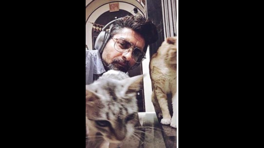 At play: Sanyal with his cats