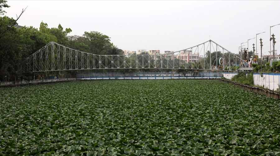 A small replica of Kolkata’s most treasured attraction – Howrah Bridge – can be spotted across the breadth of the park. Stop by for a closer look at the details of the structure