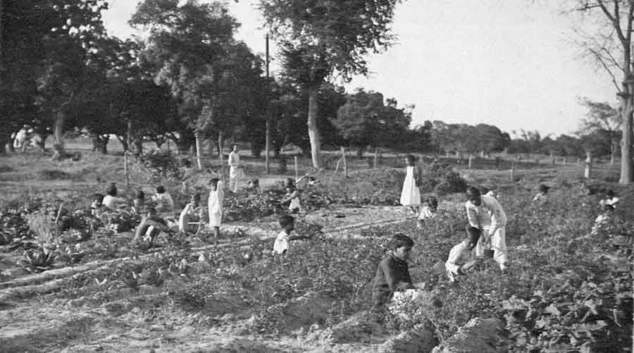 Sriniketan students working in the fields