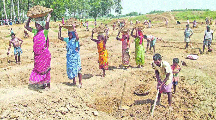 The NREGA provides 100 days of unskilled work per family per year in rural areas.