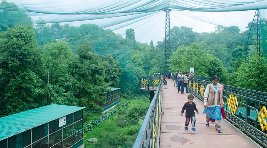 The elevated walkway in the Sidkeong Tulku Bird Park by the ruins offers a chance for close encounters with avian residents