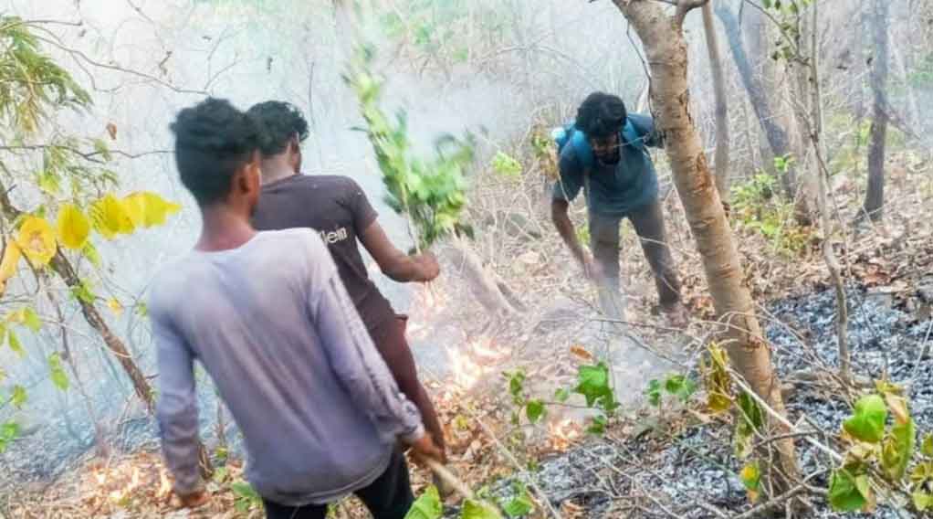 Forest protection volunteers putting out a fire at Baliguma village in the Dalma hills