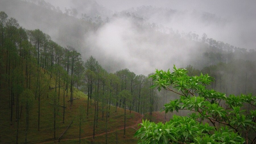 A view of the Kumaon hills in monsoon