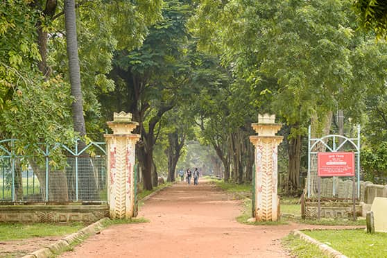 The Visva-Bharati campus in Santiniketan.