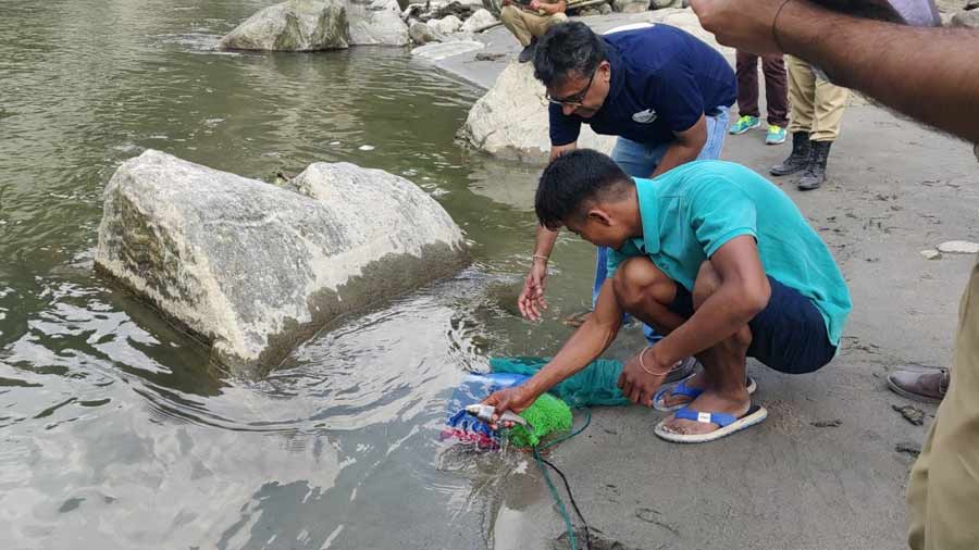Fish caught in nets by illegal and indiscriminate fishing are freed 