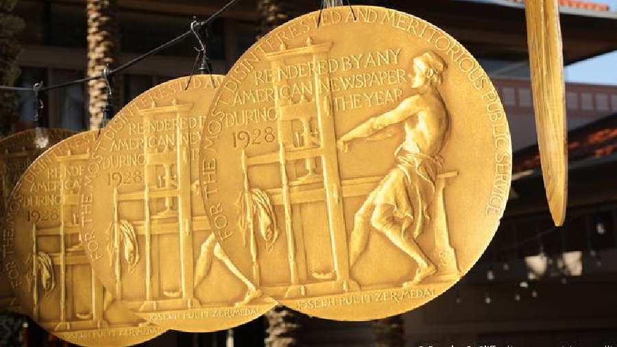 The winner of the public service award receives a gold medal, while winners of each of the other categories get $15,000
