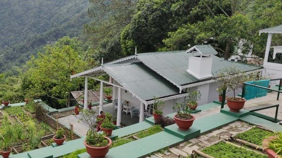 The terrace garden at Glenburn