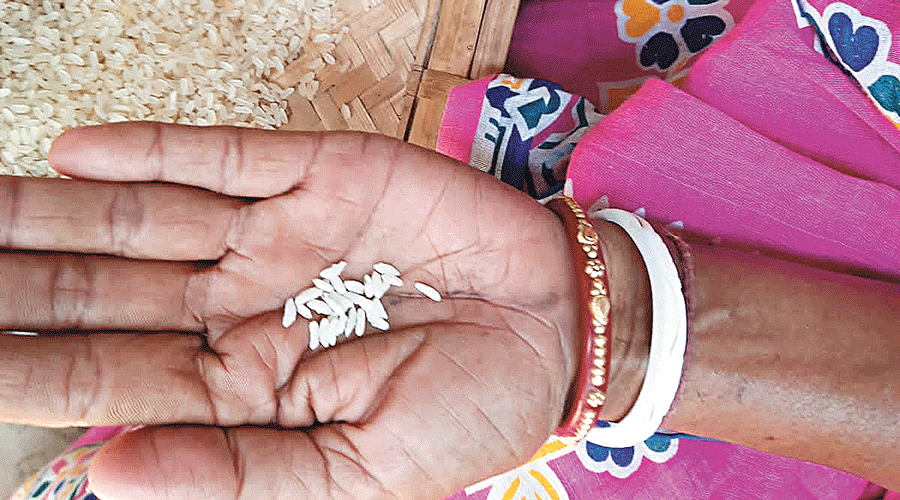 An anganwadi worker  picks fortified rice from normal rice.