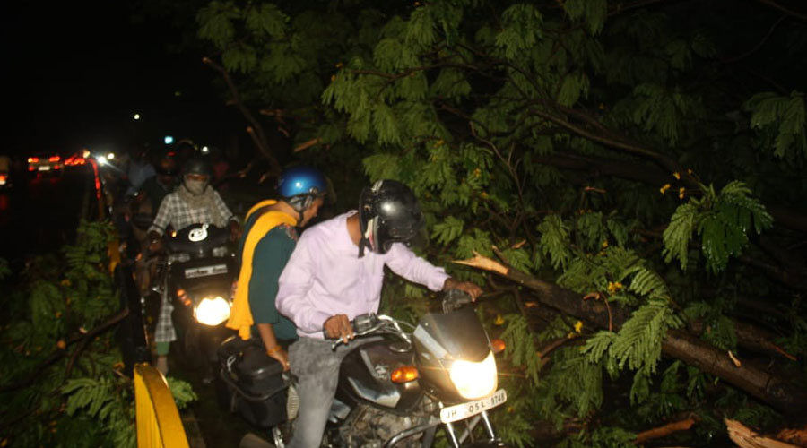 Branches of trees that fell at Sakchi in Jamshedpur due to the high intensity Nor'wester which hit several parts of the state on Sunday night. 