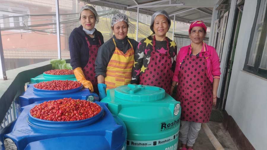 The all-woman team from Alubari Basty in Darjeeling, who prepare and pack the various mixes