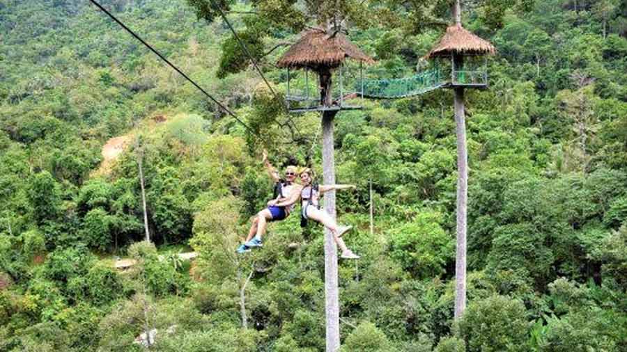 Koh Samui is a hub for ziplining enthusiasts  