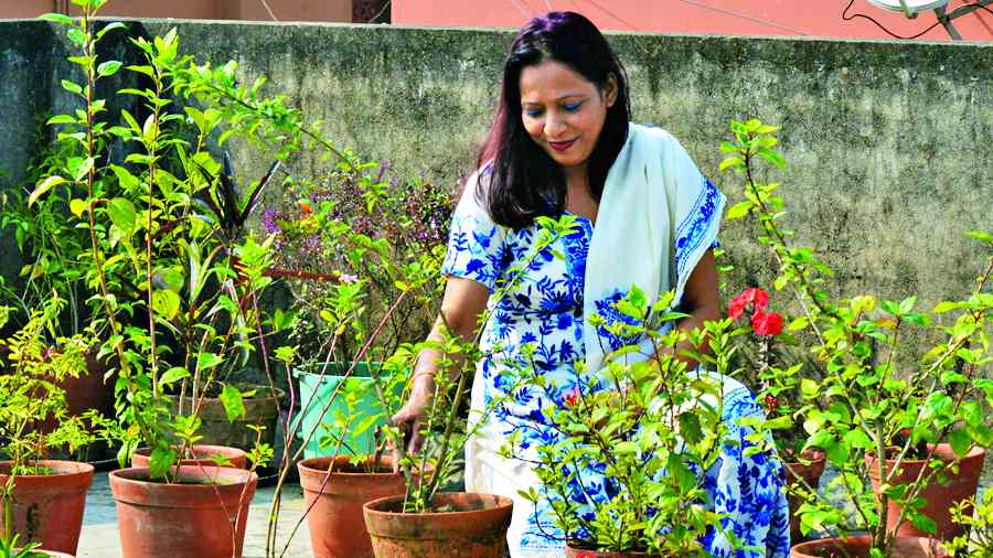 Chhanda Bhattacharya tends to potted plants on her terrace. 