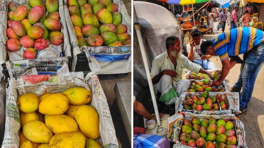 From Banginapalli and Golapkhash, to many others, there’s a veritable selection of mangoes in every corner of Kolkata every year