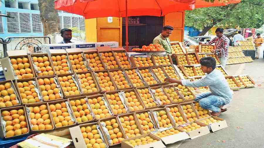 The Konkan region’s Alphonso mangoes for sale at a roadside stall in Karad on May 13. 