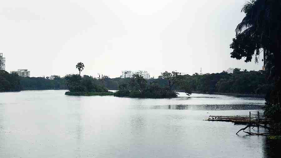 Rabindra Sarobar curbs threaten to derail selection trial of West Bengal rowing team