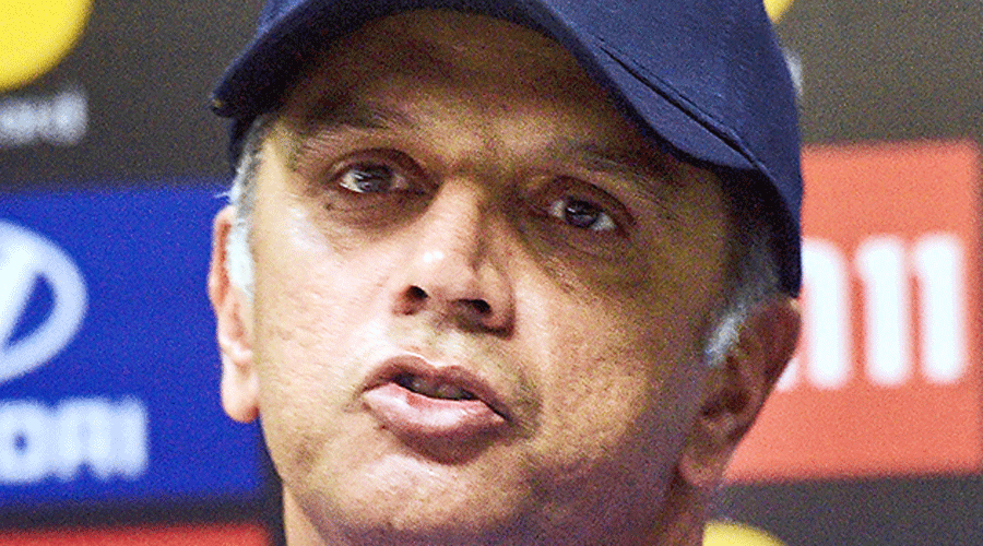 Rohit Sharma - T20 World Cup: Rahul Dravid Goes To Bat For KL Rahul ...