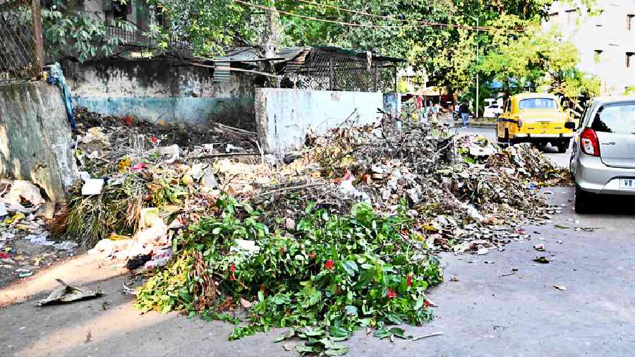 Dengue cases soar, civic bodies in Bidhannagar and Dum Dum accused of neglect