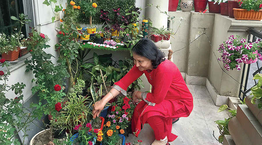 Punam Chirimar checks on the flowers in her balcony 