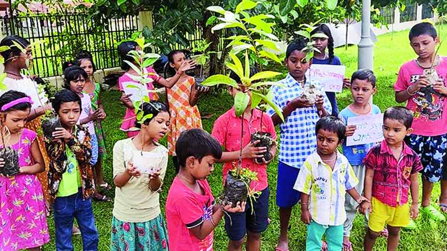 Children with the saplings that they planted in CB Park, New Town. (Below) A boy captured in the planting act