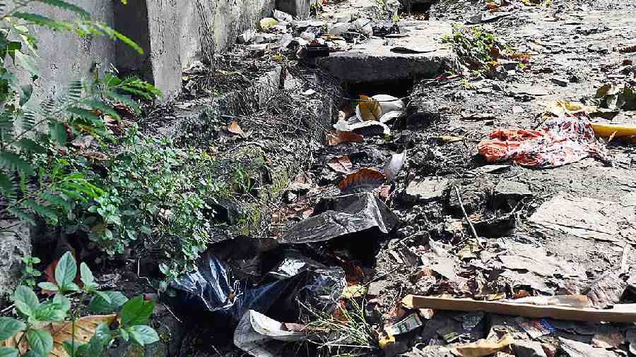 Garbage dumped in an open drain in Kasba, near Rajdanga, on Friday. 