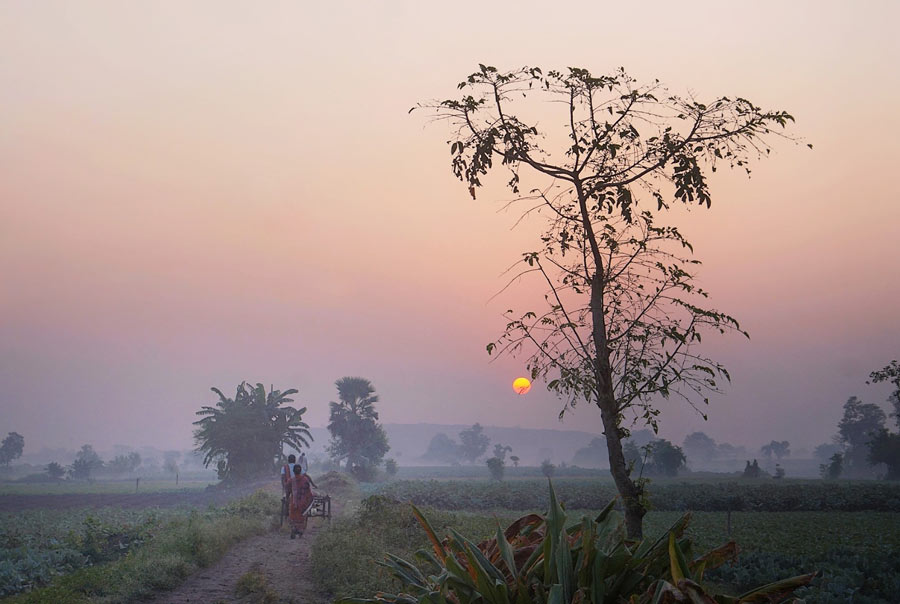 People set out for work on a fog-shrouded Saturday morning near Dhapa fields 