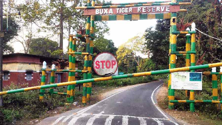 The Buxa Tiger Reserve in Alipurduar.