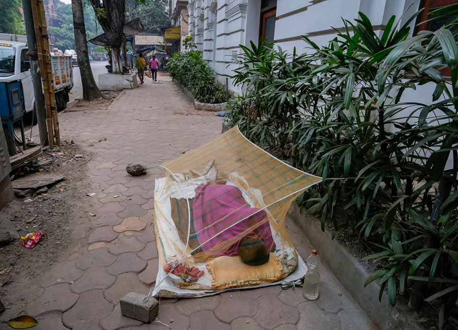 As West Bengal grapples with dengue, a pavement dweller in Kolkata sleeps under a mosquito net. Several spots across the city have been identified as hotbed for the disease