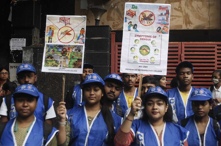 Students of various colleges took part in a rally to create mass awareness about dengue on Friday