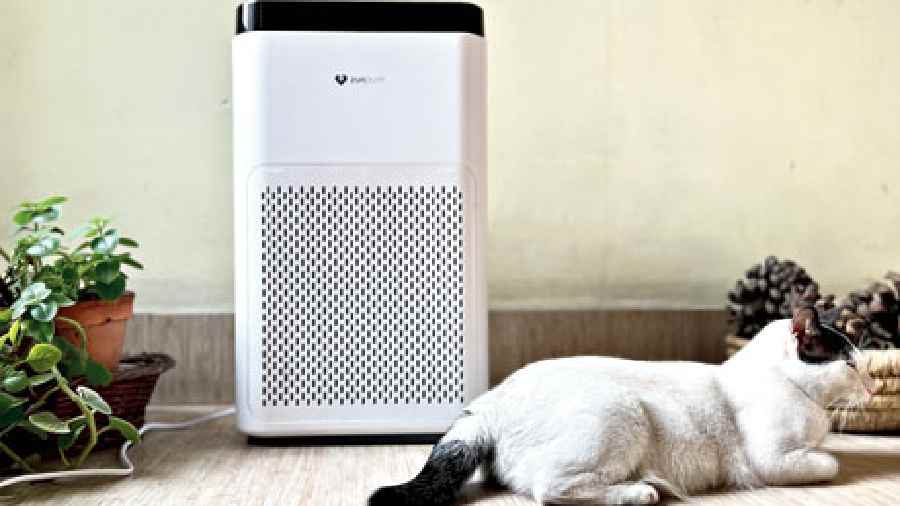 Zunpulse Smart Air Purifier is good enough for mid-size rooms. 