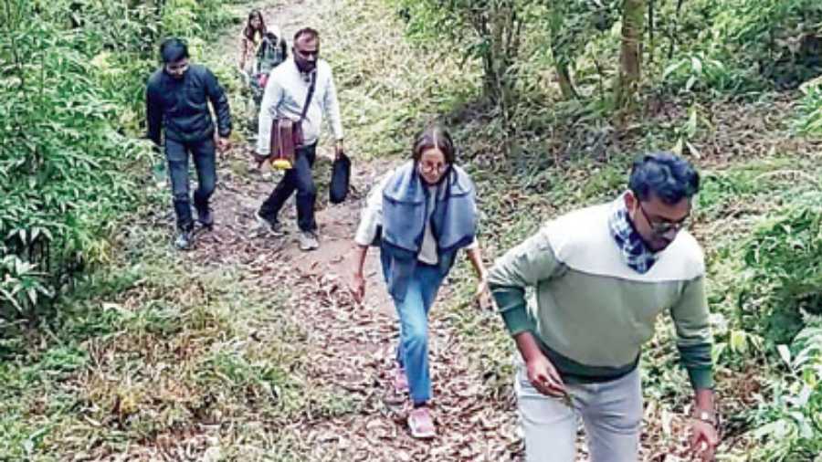Activities such as bird watching and trekking took place in dense woods at a high elevation of 6,000ft.