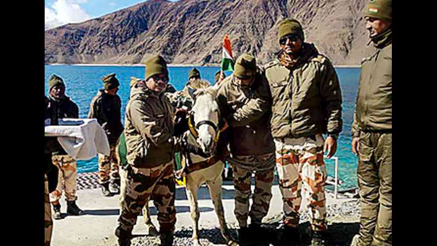 Pony Madhu of the ITBP’s animal transport wing was last month awarded a special service medal for delivering rations, equipment and ammunition to forward posts along the LAC.