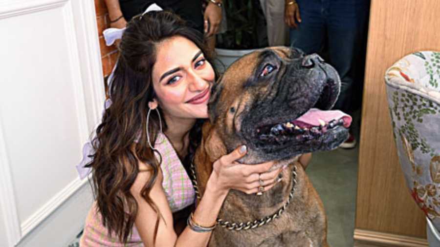 Tolly diva Nusrat Jahan shares cuddles with this pawesome cutie. Dressed in blush pink checkered skirt and sleeveless blazer set, her hair in loose waves, she surely did keep it subtle yet classy
