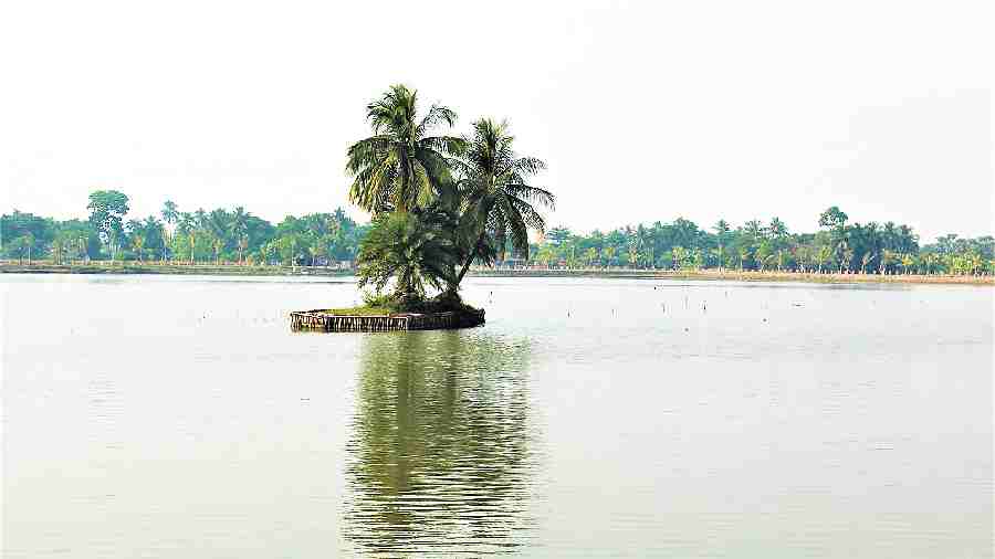 Tapan Kr Bhowmick,  Uniworld City, New Town