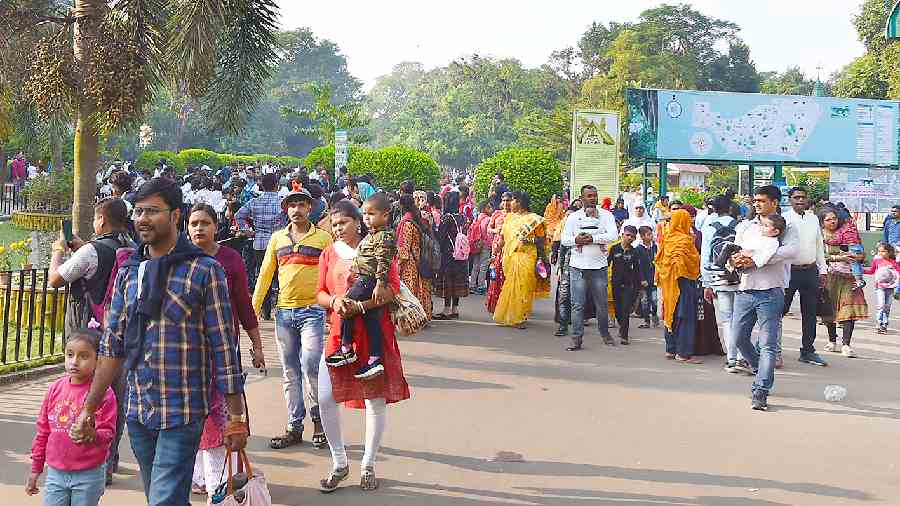 A crowded Alipore zoo on Sunday afternoon. 