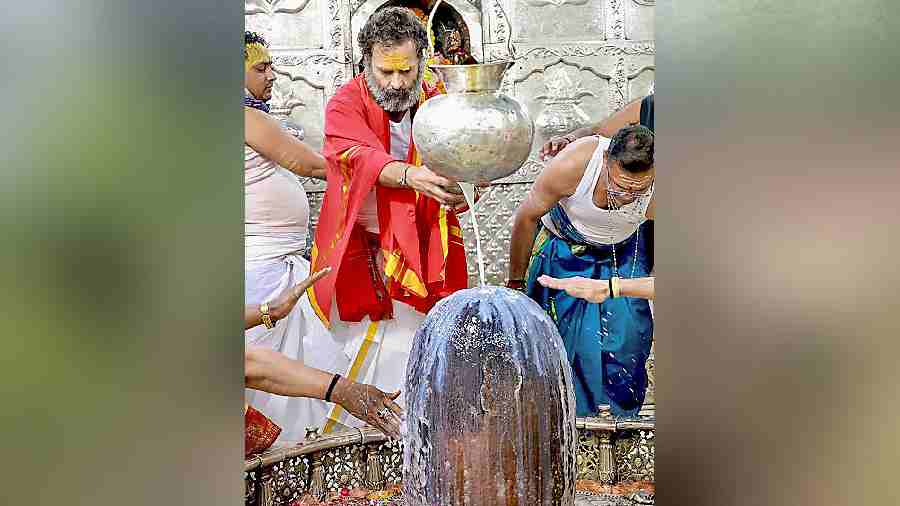 Rahul Gandhi offers prayers at the Mahakaleshwar temple in Ujjain on Tuesday. 