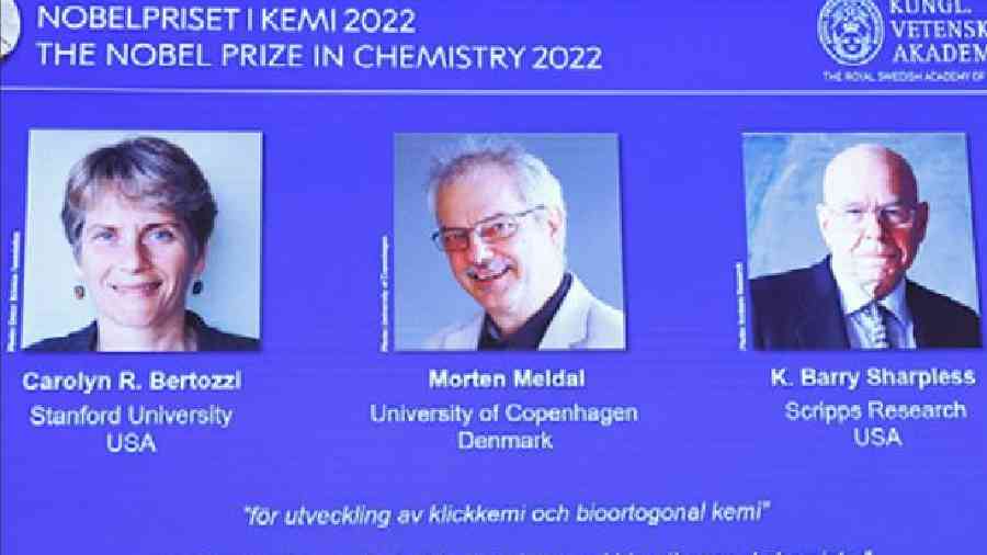 Chemistry Nobel for ‘linking molecules’