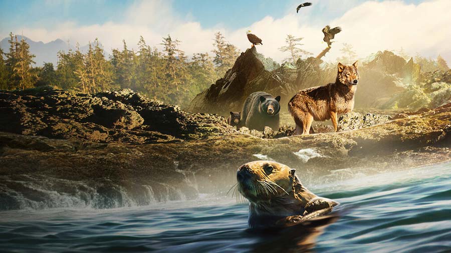 Will Arnett narrates Netflix series Island of the Sea Wolves - Telegraph  India