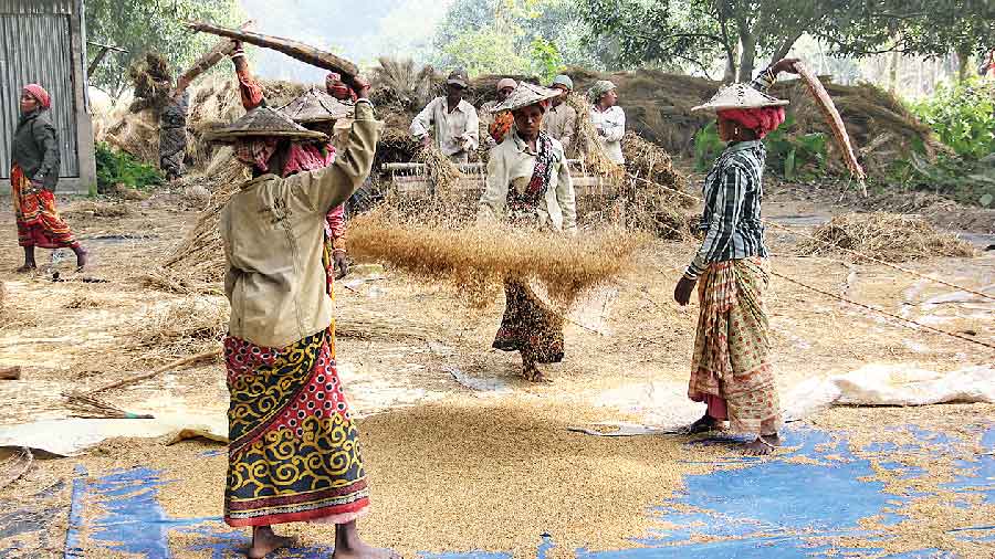 State aims to speed up paddy collection