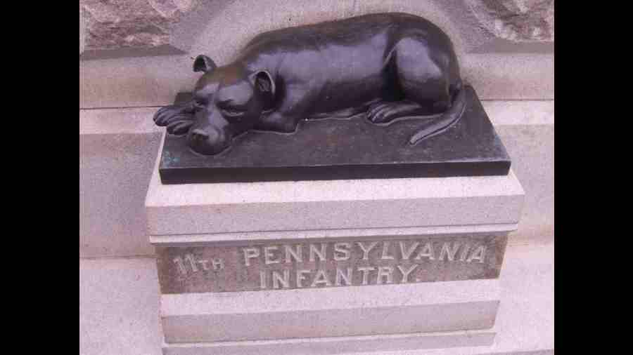 Sallie worked as the mascot of of the 11th Pennsylvania Volunteer Infantry in the Civil War. This memorial statue of the brave animal is placed at Gettysburg by her soldiers from her regiment