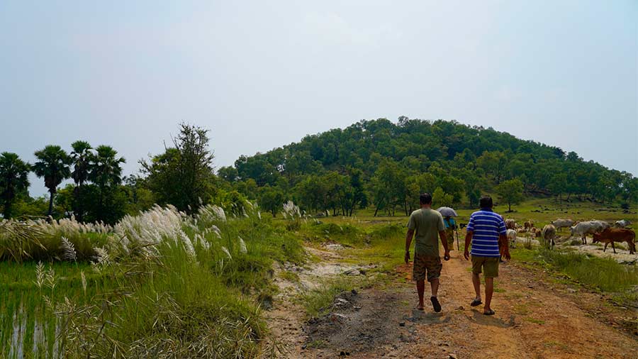 Walking towards Palsara Hill, 2.5 km north of the resort