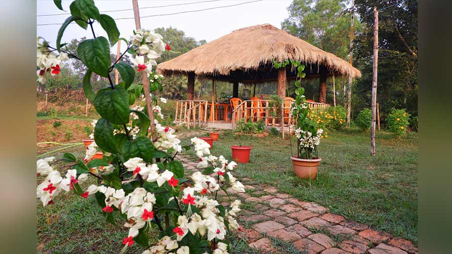 The dining area at Paharpur Eco Resort, Purulia